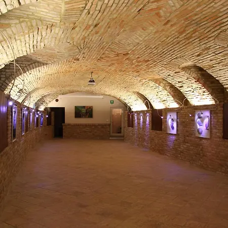 Dell'arte Солонгелло